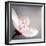 Cherry Blossom-null-Framed Photographic Print