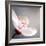 Cherry Blossom-null-Framed Photographic Print