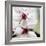 Cherry Blossom-null-Framed Photographic Print