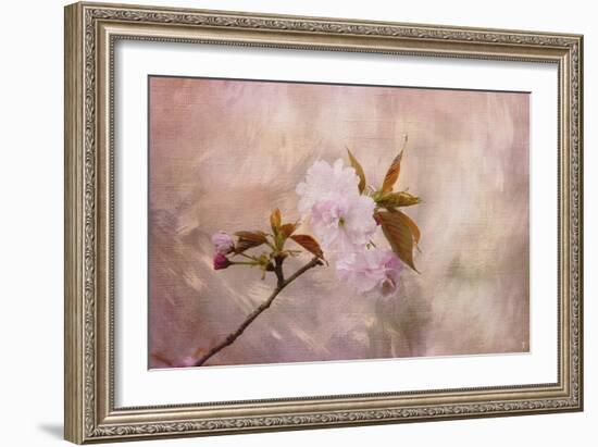 Cherry Blossom-Jai Johnson-Framed Giclee Print