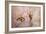 Cherry Blossom-Jai Johnson-Framed Giclee Print