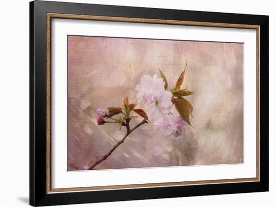 Cherry Blossom-Jai Johnson-Framed Giclee Print