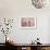 Cherry Blossom-Jai Johnson-Framed Giclee Print displayed on a wall