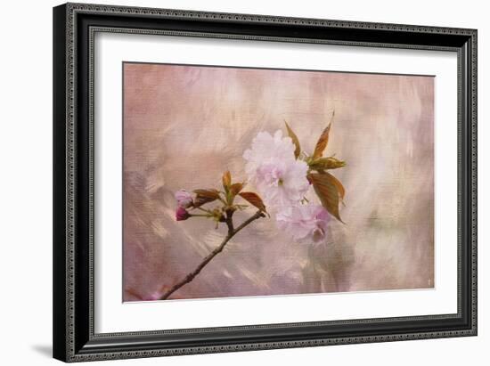 Cherry Blossom-Jai Johnson-Framed Giclee Print