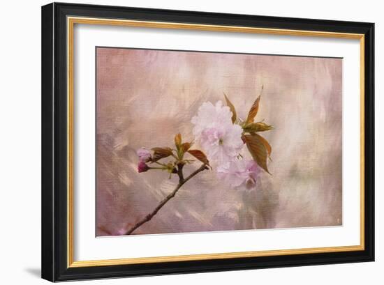 Cherry Blossom-Jai Johnson-Framed Giclee Print