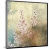 Cherry Blossoms 2-Rick Novak-Mounted Art Print