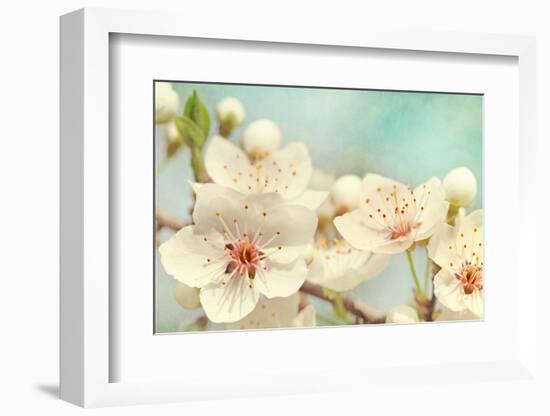 Cherry Blossoms Against a Blue Sky-egal-Framed Photographic Print