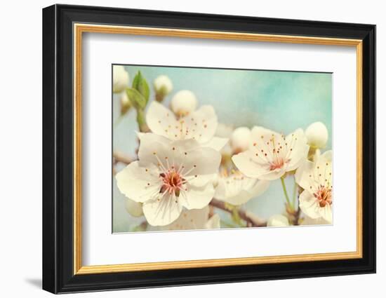 Cherry Blossoms Against a Blue Sky-egal-Framed Photographic Print