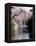 Cherry Blossoms and a River-null-Framed Premier Image Canvas