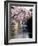 Cherry Blossoms and a River-null-Framed Photographic Print