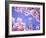 Cherry Blossoms and Blue Sky-null-Framed Photographic Print