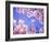 Cherry Blossoms and Blue Sky-null-Framed Photographic Print