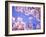 Cherry Blossoms and Blue Sky-null-Framed Photographic Print