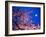 Cherry Blossoms and Full Moon-null-Framed Photographic Print