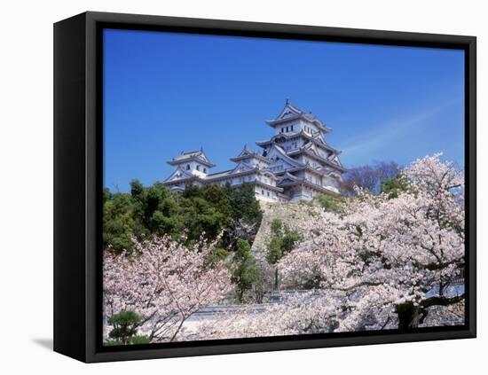 Cherry Blossoms and Himeji Castle-null-Framed Premier Image Canvas