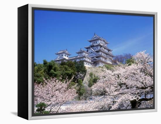 Cherry Blossoms and Himeji Castle-null-Framed Premier Image Canvas