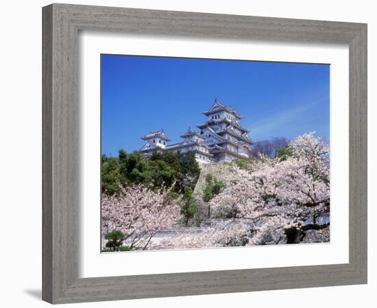 Cherry Blossoms and Himeji Castle-null-Framed Photographic Print