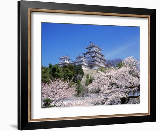 Cherry Blossoms and Himeji Castle-null-Framed Photographic Print