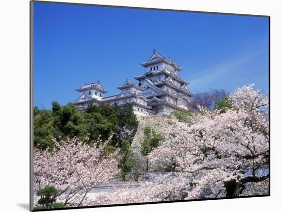 Cherry Blossoms and Himeji Castle-null-Mounted Photographic Print