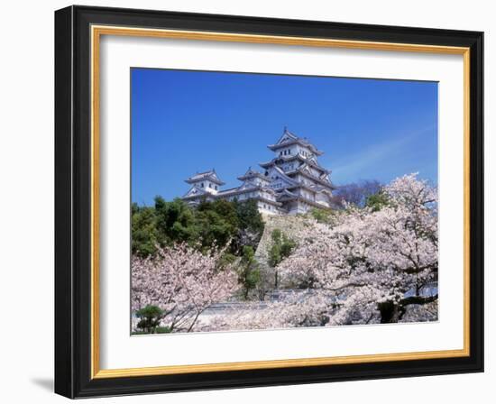 Cherry Blossoms and Himeji Castle-null-Framed Photographic Print