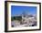 Cherry Blossoms and Himeji Castle-null-Framed Photographic Print