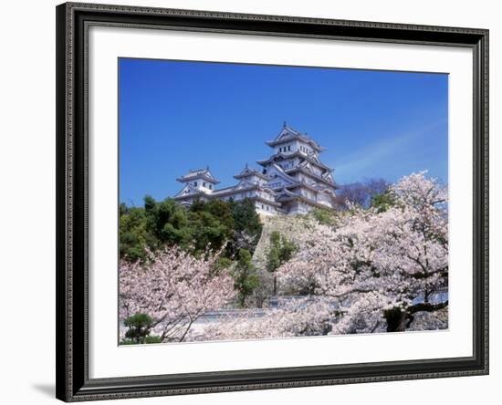 Cherry Blossoms and Himeji Castle-null-Framed Photographic Print