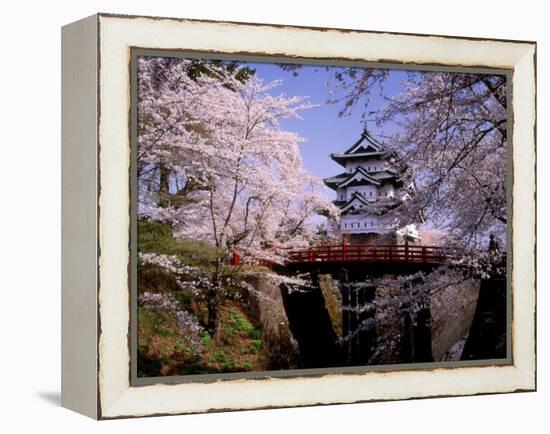 Cherry Blossoms and Hirosaki Castle-null-Framed Premier Image Canvas
