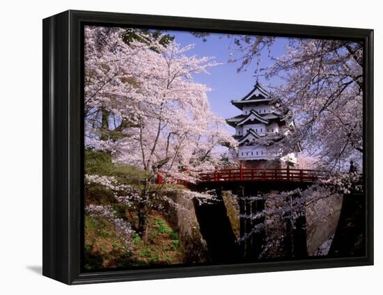 Cherry Blossoms and Hirosaki Castle-null-Framed Premier Image Canvas