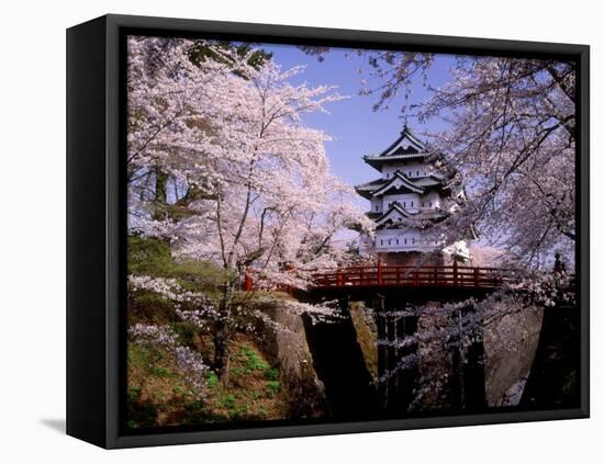 Cherry Blossoms and Hirosaki Castle-null-Framed Premier Image Canvas