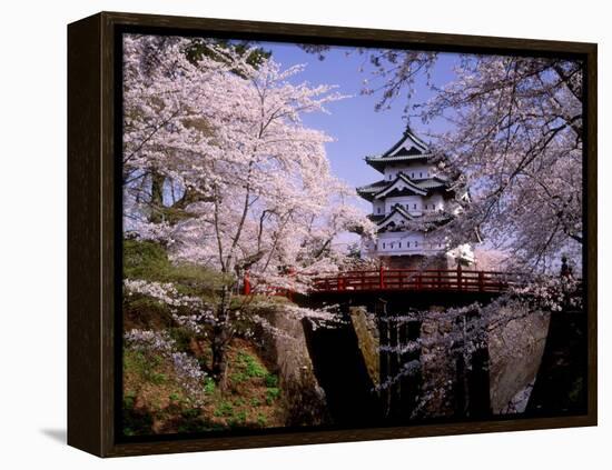 Cherry Blossoms and Hirosaki Castle-null-Framed Premier Image Canvas