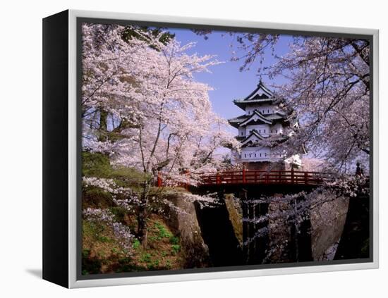 Cherry Blossoms and Hirosaki Castle-null-Framed Premier Image Canvas