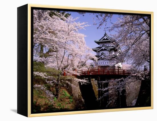 Cherry Blossoms and Hirosaki Castle-null-Framed Premier Image Canvas