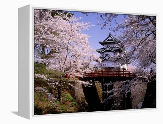 Cherry Blossoms and Hirosaki Castle-null-Framed Premier Image Canvas