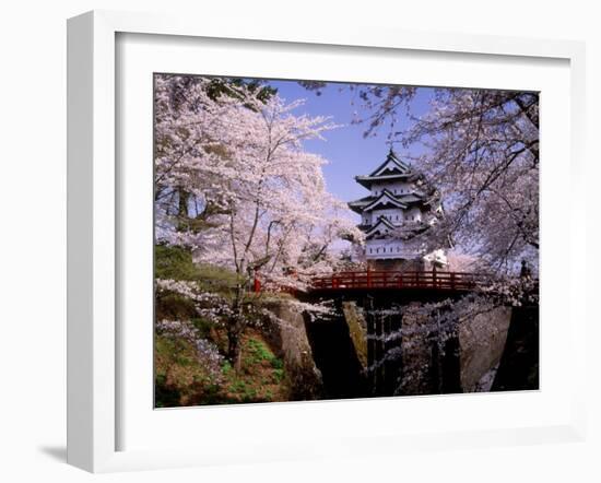 Cherry Blossoms and Hirosaki Castle--Framed Photographic Print