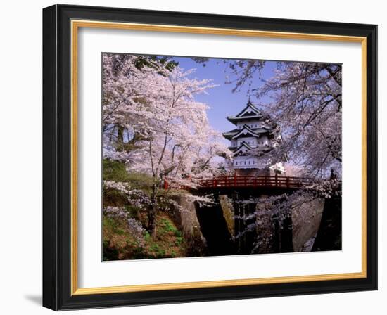 Cherry Blossoms and Hirosaki Castle-null-Framed Photographic Print