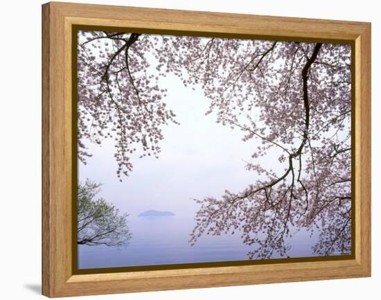 Cherry Blossoms and Lake Biwa-null-Framed Premier Image Canvas