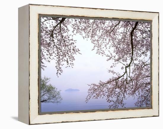 Cherry Blossoms and Lake Biwa-null-Framed Premier Image Canvas