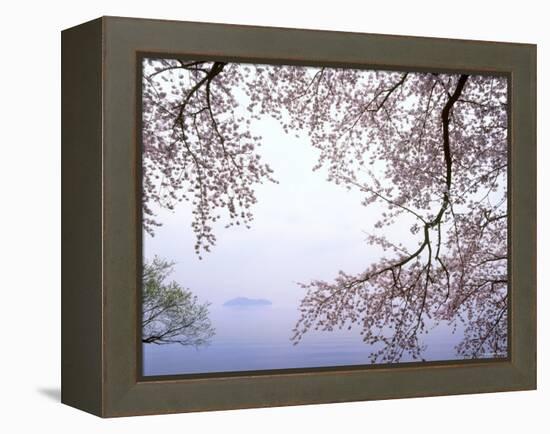 Cherry Blossoms and Lake Biwa-null-Framed Premier Image Canvas