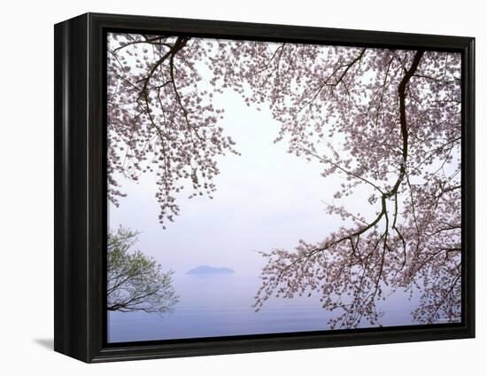 Cherry Blossoms and Lake Biwa-null-Framed Premier Image Canvas