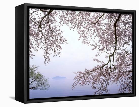 Cherry Blossoms and Lake Biwa-null-Framed Premier Image Canvas