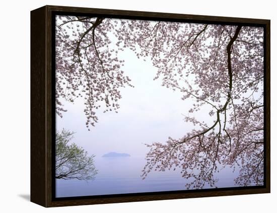 Cherry Blossoms and Lake Biwa-null-Framed Premier Image Canvas