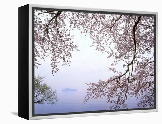 Cherry Blossoms and Lake Biwa-null-Framed Premier Image Canvas