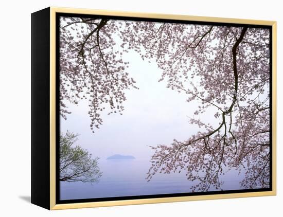 Cherry Blossoms and Lake Biwa-null-Framed Premier Image Canvas