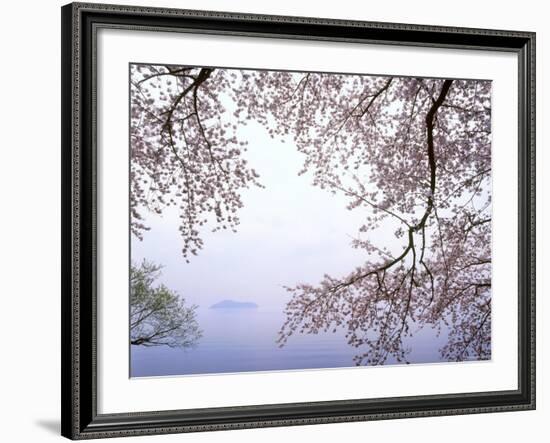 Cherry Blossoms and Lake Biwa-null-Framed Photographic Print