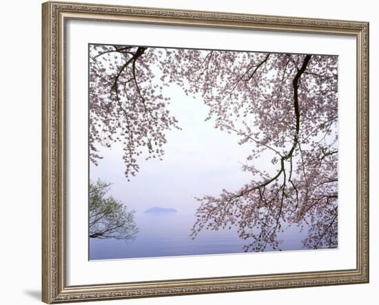 Cherry Blossoms and Lake Biwa-null-Framed Photographic Print