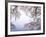 Cherry Blossoms and Lake Biwa-null-Framed Photographic Print