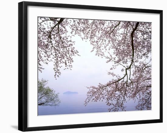 Cherry Blossoms and Lake Biwa-null-Framed Photographic Print