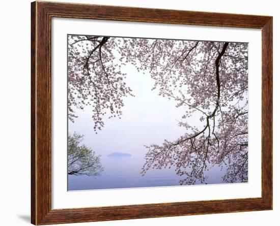 Cherry Blossoms and Lake Biwa-null-Framed Photographic Print