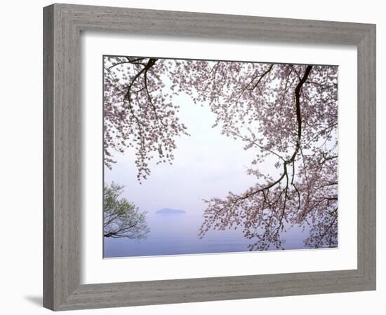 Cherry Blossoms and Lake Biwa-null-Framed Photographic Print