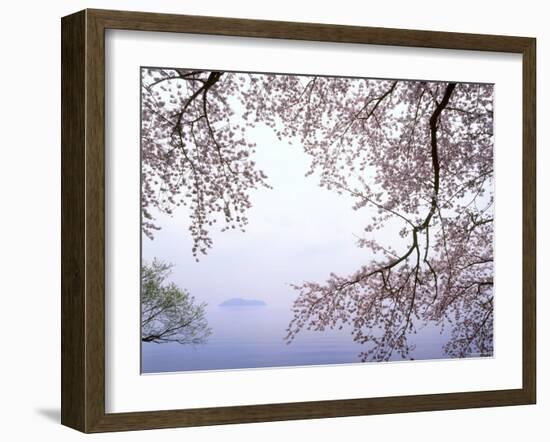 Cherry Blossoms and Lake Biwa-null-Framed Photographic Print